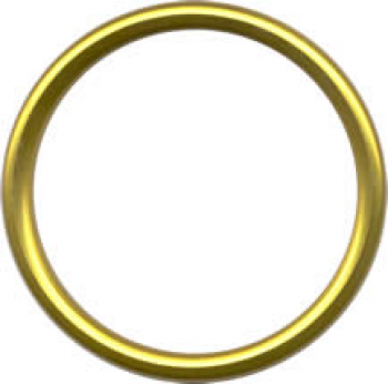 Кольца для слинга SLING RINGS Gold